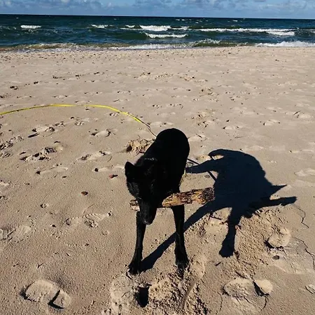 Poddabek Comfort I Z Tarasem Na Dachu, Ogrodkiem, Basenem Zewnetrznym I Wewnetrznym, Sala Zabaw I Animacjami Appartamento Poddabie