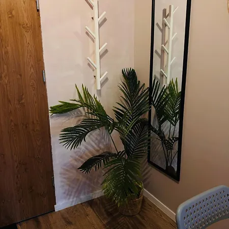 Poddabek Comfort I Z Tarasem Na Dachu, Ogrodkiem, Basenem Zewnetrznym I Wewnetrznym, Sala Zabaw I Animacjami *