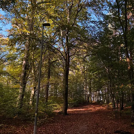 Poddabek Comfort I Z Tarasem Na Dachu, Ogrodkiem, Basenem Zewnetrznym I Wewnetrznym, Sala Zabaw I Animacjami Appartamento Poddabie