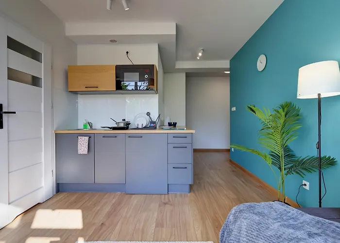 Poddabek Comfort I Z Tarasem Na Dachu, Ogrodkiem, Basenem Zewnetrznym I Wewnetrznym, Sala Zabaw I Animacjami Апартаменты *