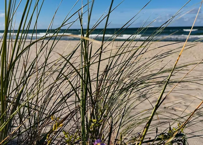 Апартаменты Poddabek Comfort I Z Tarasem Na Dachu, Ogrodkiem, Basenem Zewnetrznym I Wewnetrznym, Sala Zabaw I Animacjami Поддомбе