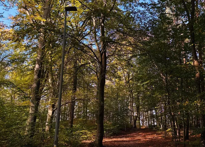 Poddabek Comfort I Z Tarasem Na Dachu, Ogrodkiem, Basenem Zewnetrznym I Wewnetrznym, Sala Zabaw I Animacjami Апартаменты Поддомбе