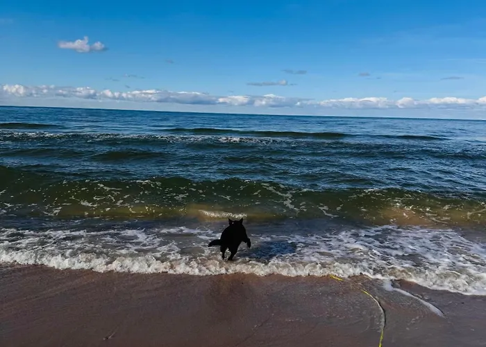 Poddabek Comfort I Z Tarasem Na Dachu, Ogrodkiem, Basenem Zewnetrznym I Wewnetrznym, Sala Zabaw I Animacjami * Поддомбе
